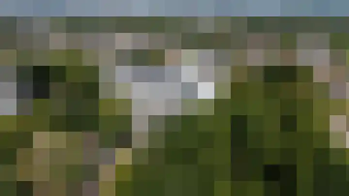 Buizerd 71 Heerenveen thumbnail 23