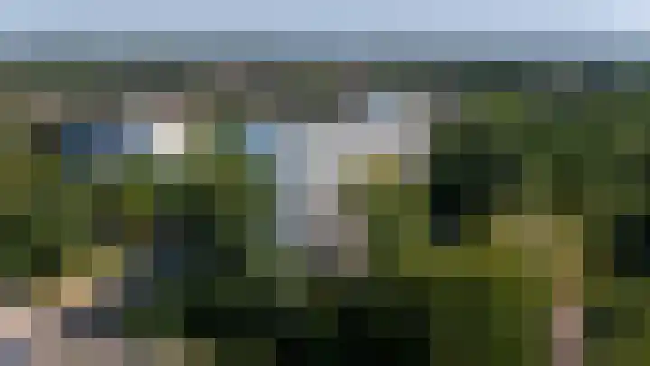 Buizerd 71 Heerenveen thumbnail 24
