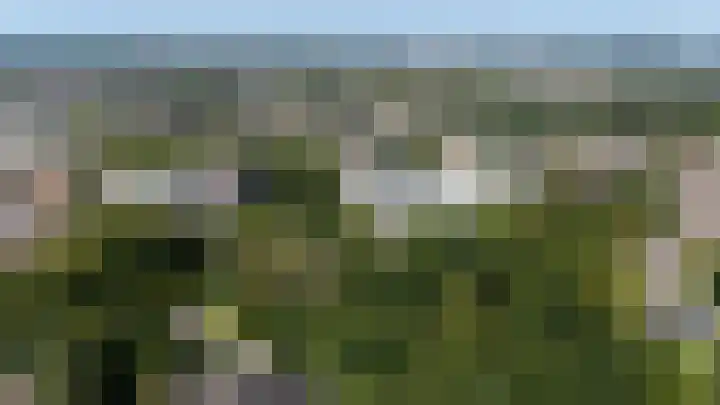 Buizerd 71 Heerenveen thumbnail 25