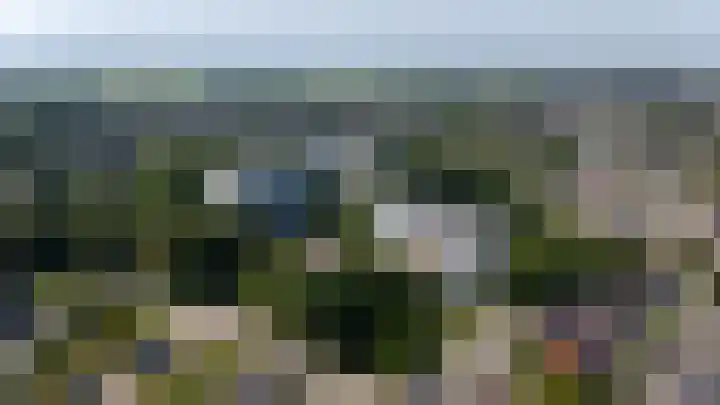 Buizerd 71 Heerenveen thumbnail 26