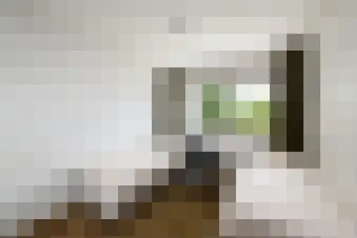 Buizerd 71 Heerenveen thumbnail 7