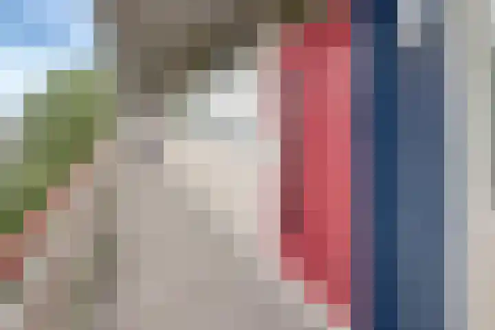 Buizerd 74 Heerenveen thumbnail 10