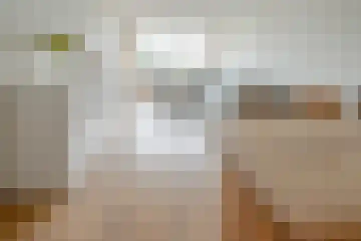 Buizerd 74 Heerenveen thumbnail 11