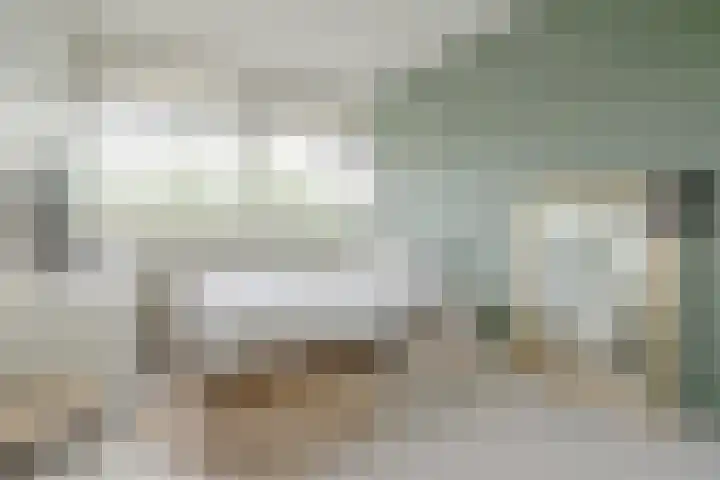 Buizerd 74 Heerenveen thumbnail 20