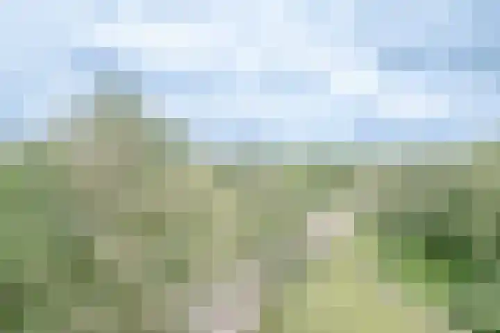 Buizerd 74 Heerenveen thumbnail 22