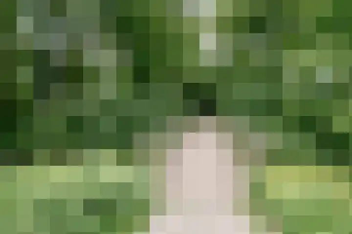 Buizerd 74 Heerenveen thumbnail 24