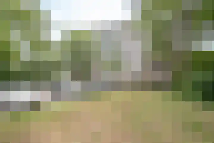 Buizerd 74 Heerenveen thumbnail 25