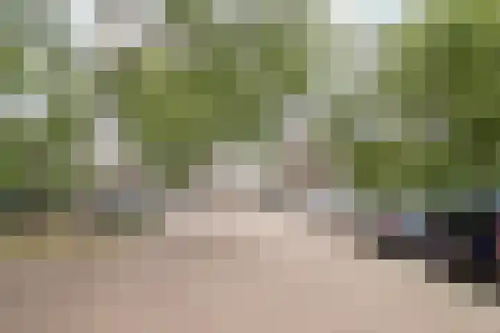 Buizerd 74 Heerenveen thumbnail 5