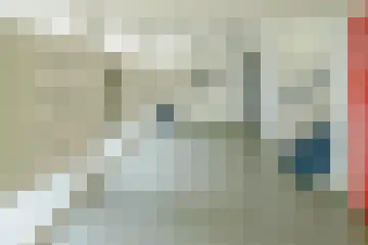 Buizerd 74 Heerenveen thumbnail 8