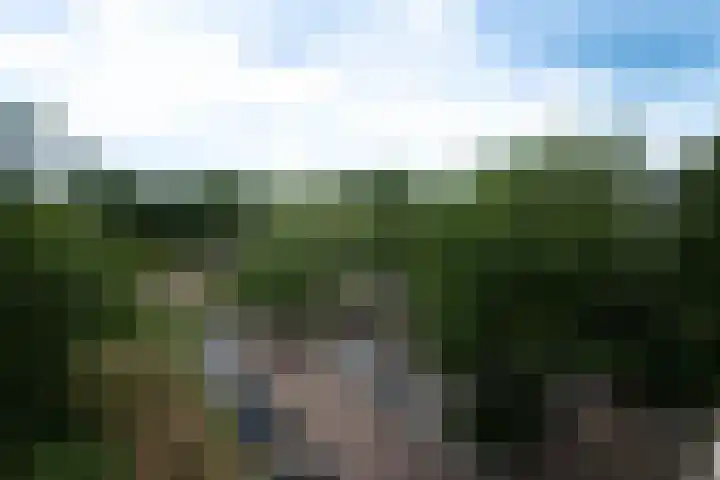 Buizerd 74 Heerenveen thumbnail 9