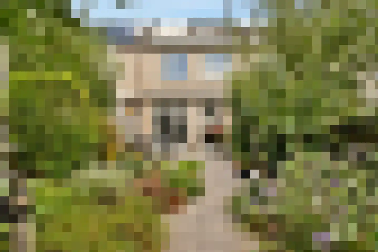 Buizerd 8 Sassenheim thumbnail 18