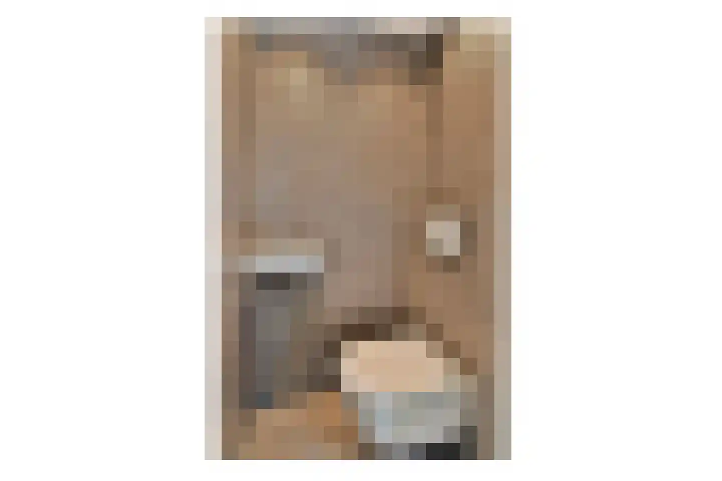 Buizerd 8 Sassenheim thumbnail 20