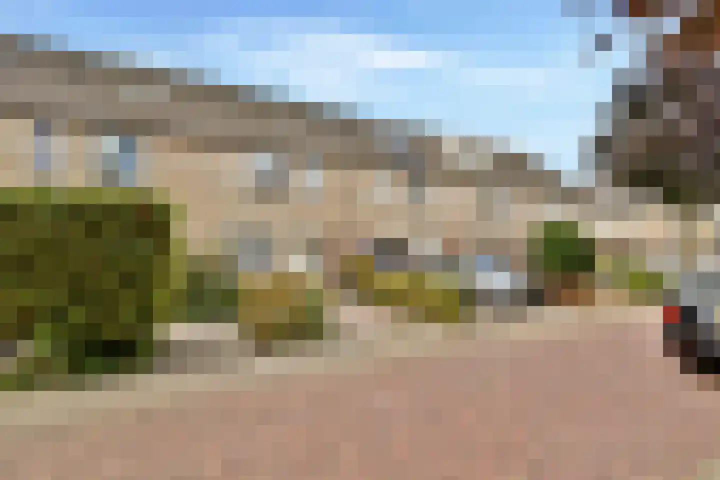 Buizerd 8 Sassenheim thumbnail 35