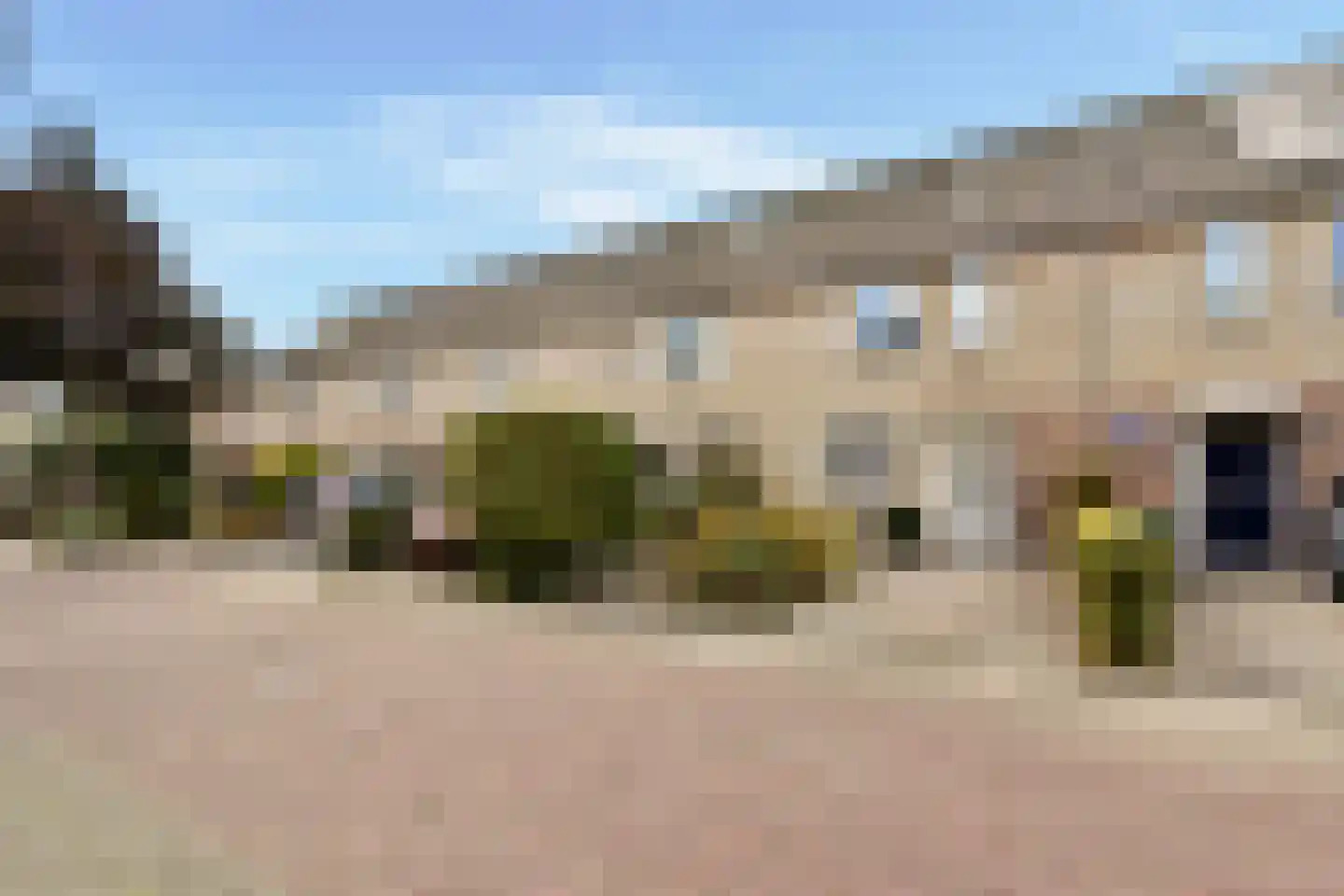 Buizerd 8 Sassenheim thumbnail 36