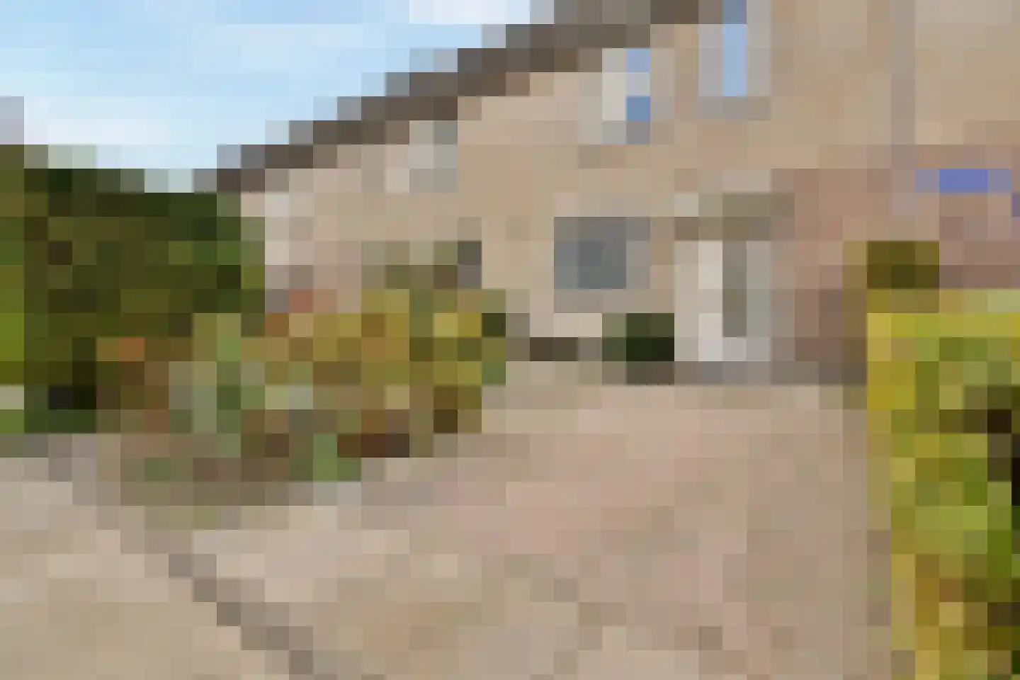 Buizerd 8 Sassenheim thumbnail 6