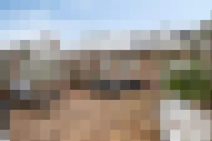 Buizerd 85 Veldhoven thumbnail 17