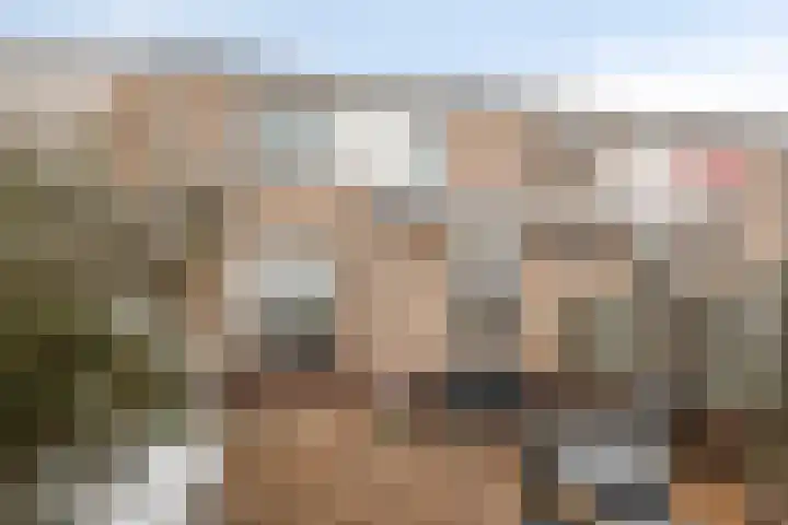 Buizerd 85 Veldhoven thumbnail 22