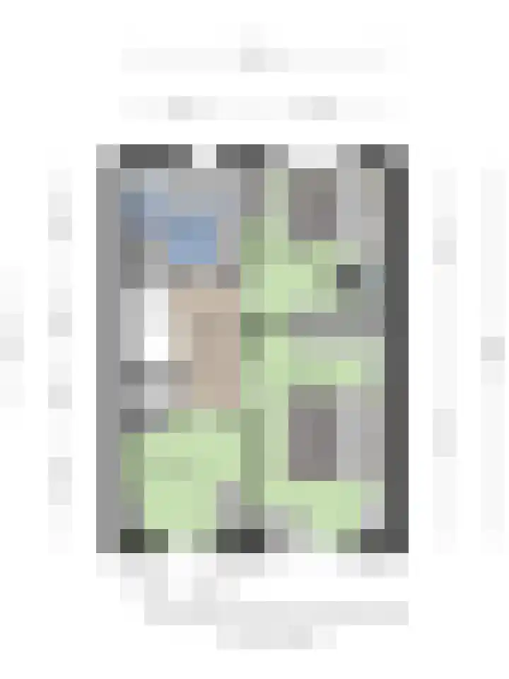 Buizerd 85 Veldhoven thumbnail 29