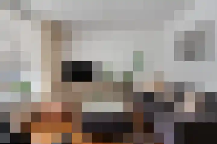 Buizerd 85 Veldhoven foto 3