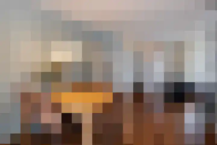 Buizerd 85 Veldhoven thumbnail 6