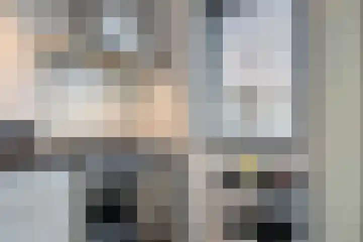 Buizerd 85 Veldhoven thumbnail 9