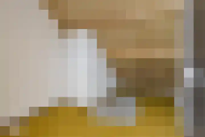 Buizerd 9 Bunschoten-Spakenburg thumbnail 32