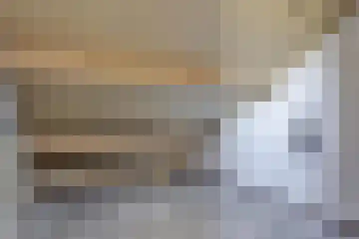 Buizerd 9 Bunschoten-Spakenburg thumbnail 33