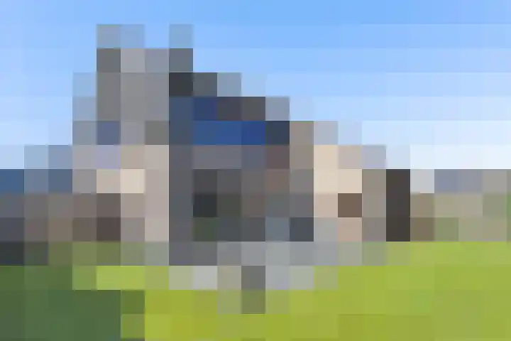Buizerd 9 Bunschoten-Spakenburg thumbnail 36