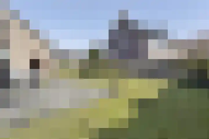 Buizerd 9 Bunschoten-Spakenburg thumbnail 37