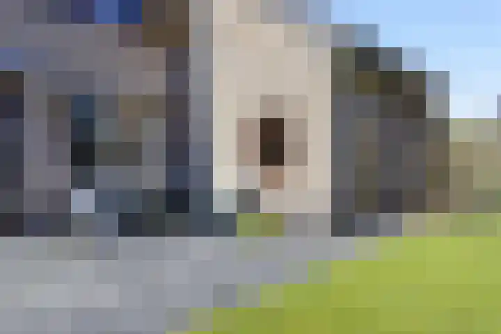 Buizerd 9 Bunschoten-Spakenburg thumbnail 38
