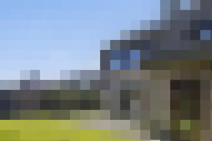 Buizerd 9 Bunschoten-Spakenburg thumbnail 39