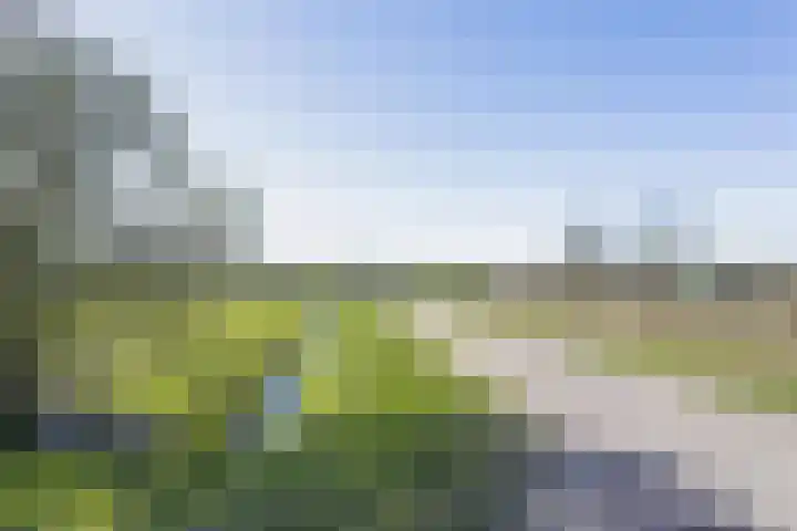 Buizerd 9 Bunschoten-Spakenburg thumbnail 41