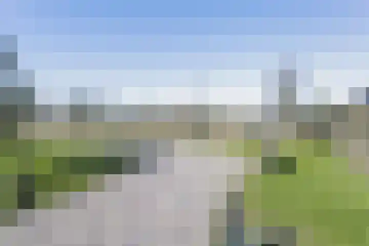 Buizerd 9 Bunschoten-Spakenburg thumbnail 42