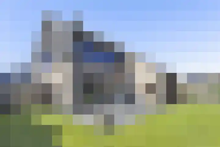 Buizerd 9 Bunschoten-Spakenburg thumbnail 46