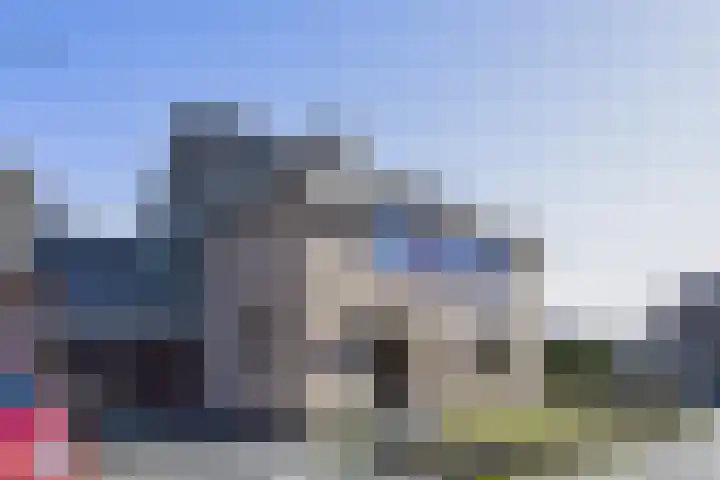 Buizerd 9 Bunschoten-Spakenburg thumbnail 5
