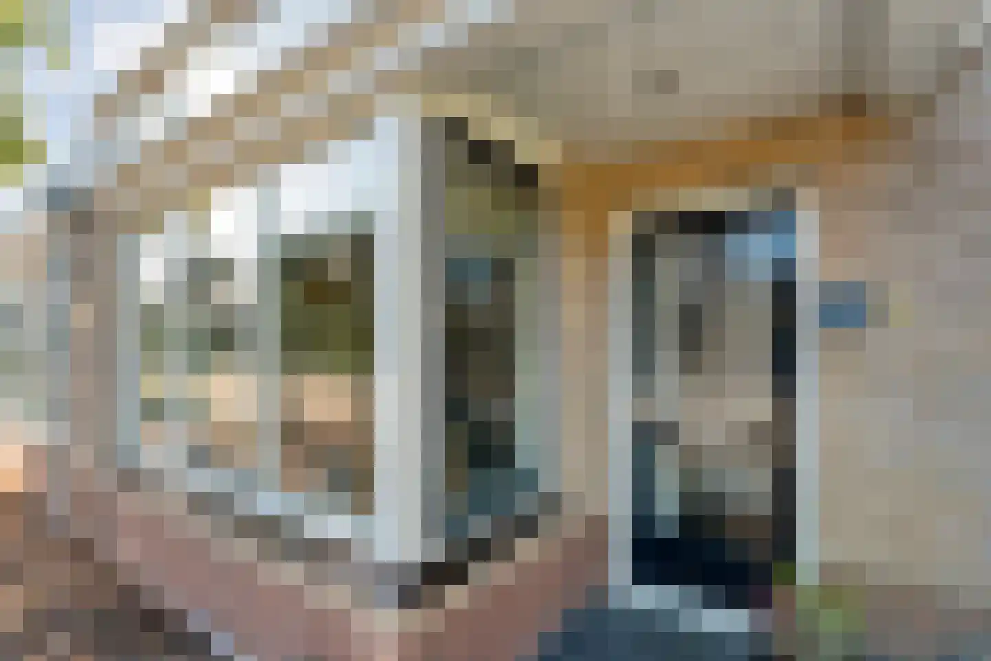 Buizerd 9 Raalte thumbnail 10