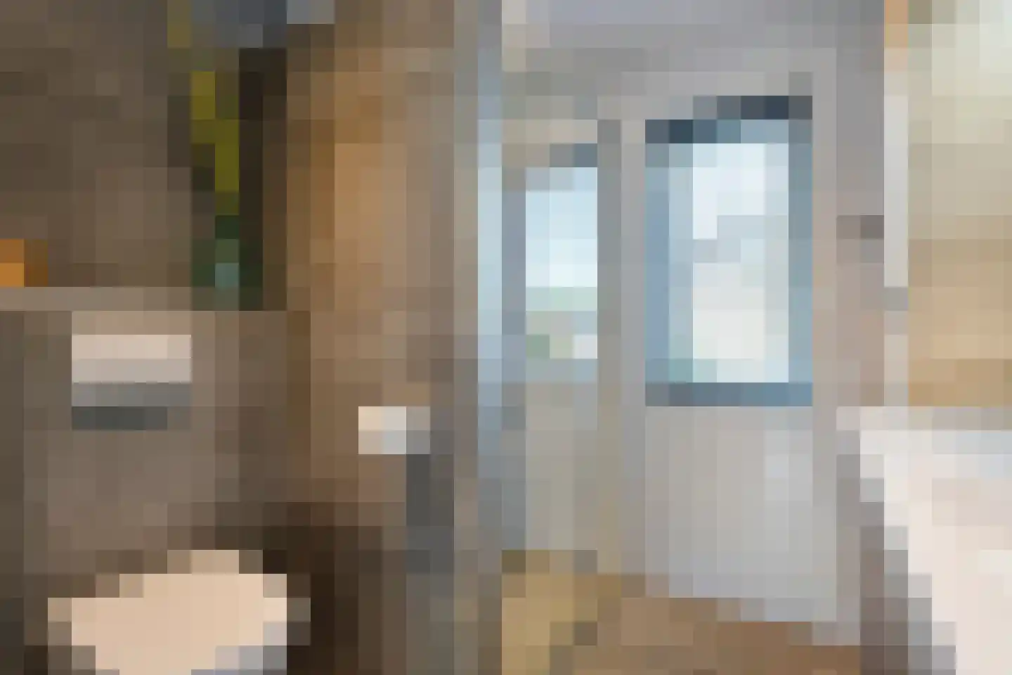 Buizerd 9 Raalte thumbnail 32