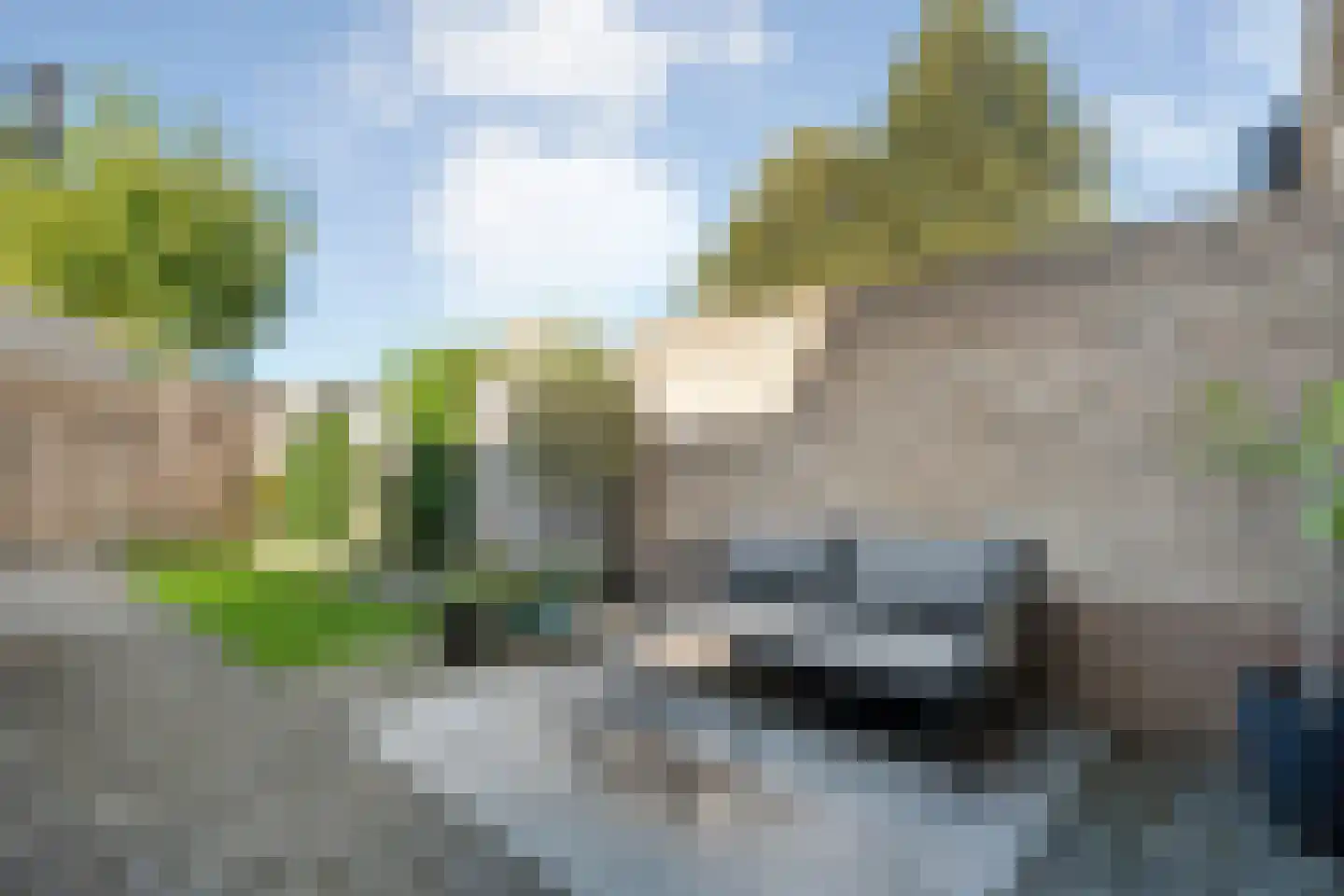Buizerd 9 Raalte thumbnail 38