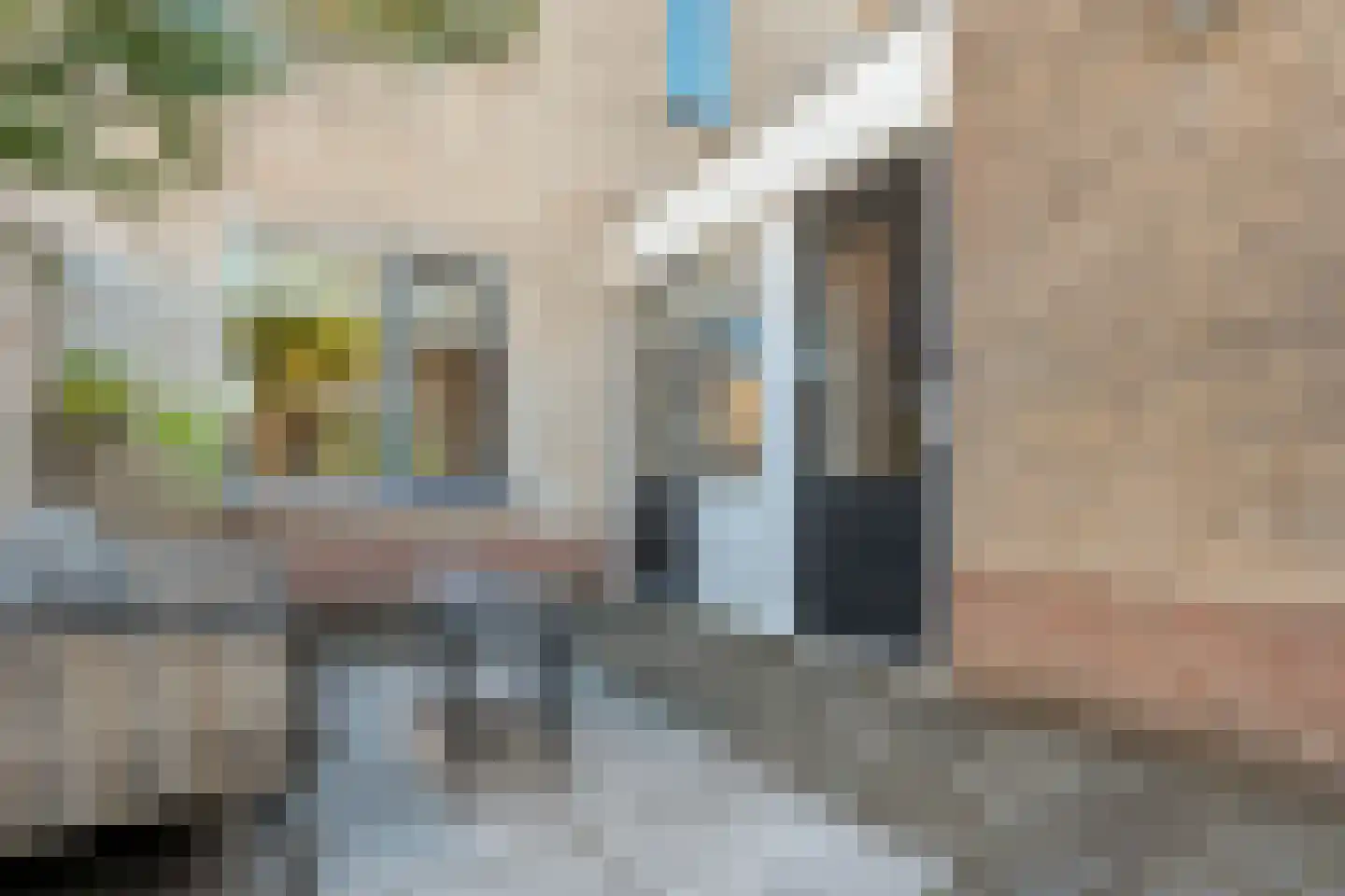 Buizerd 9 Raalte thumbnail 39