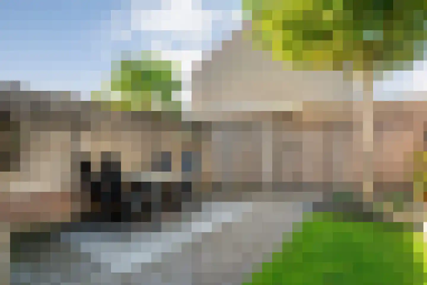 Buizerd 9 Raalte thumbnail 40