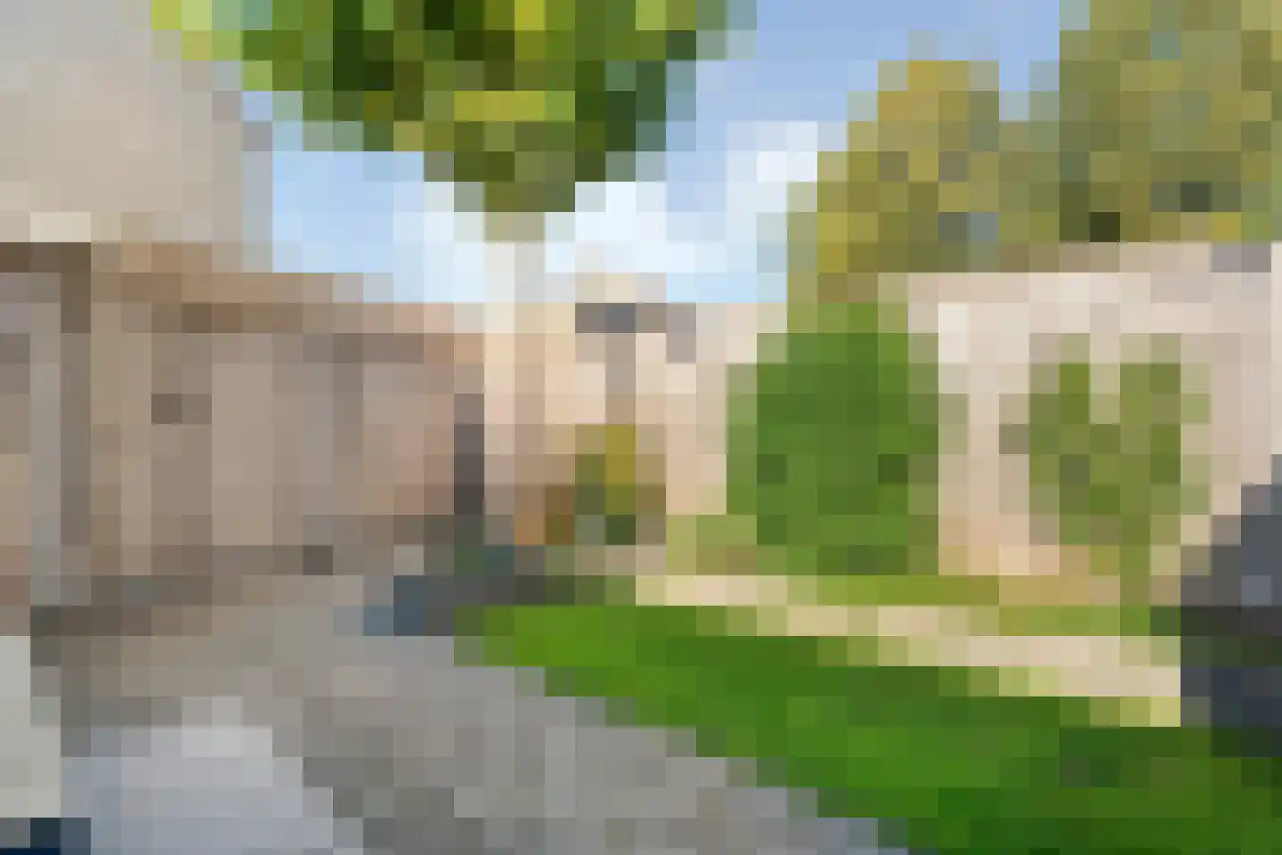 Buizerd 9 Raalte thumbnail 41