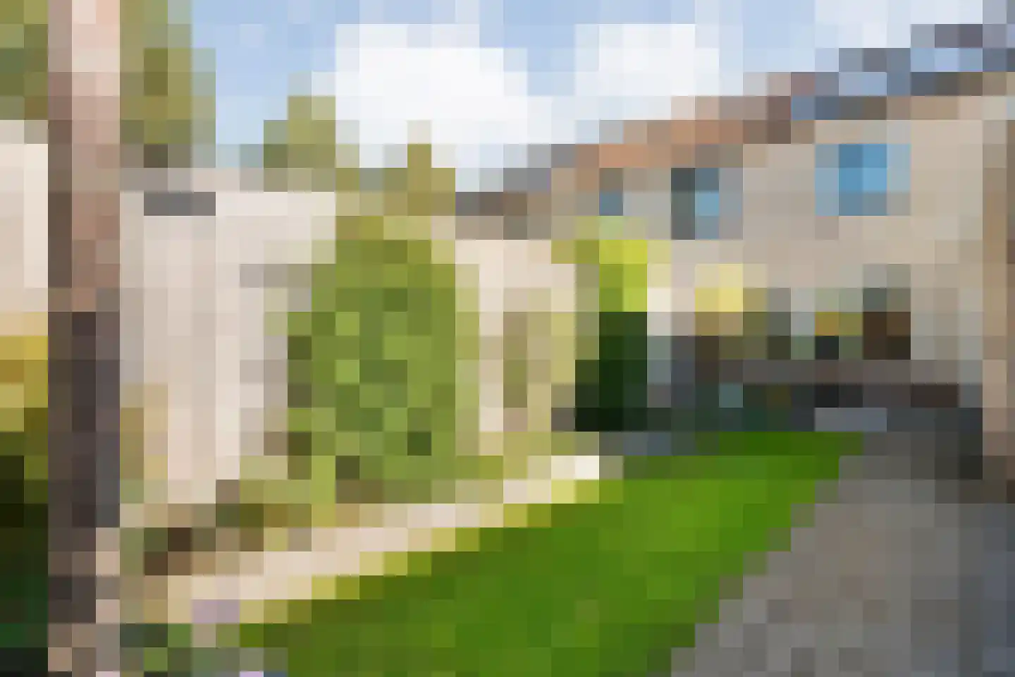Buizerd 9 Raalte thumbnail 42
