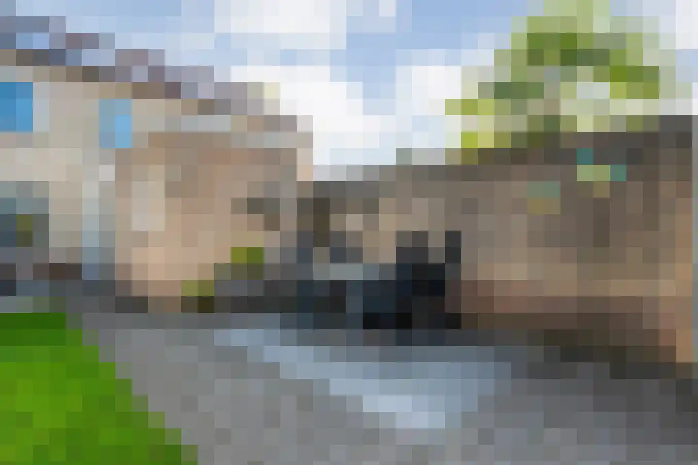 Buizerd 9 Raalte thumbnail 43