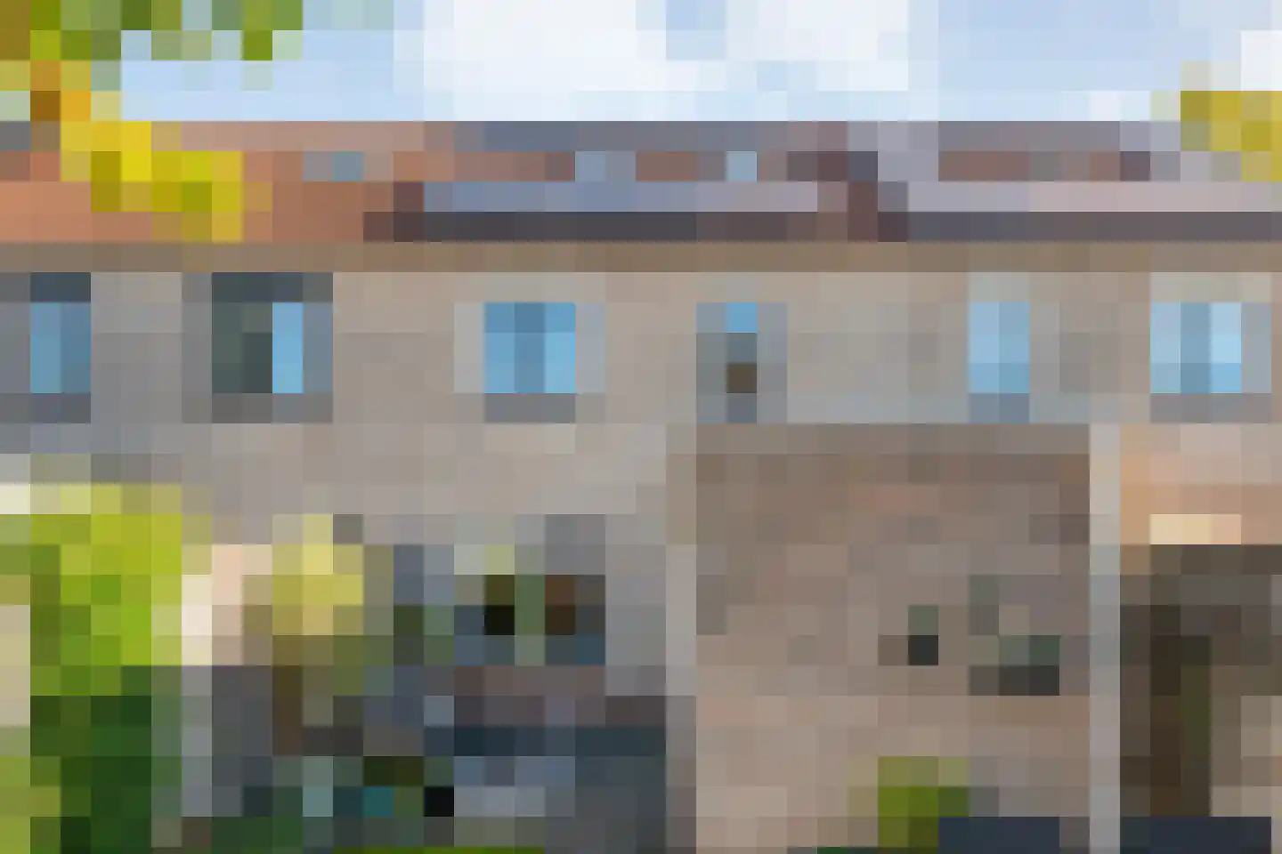 Buizerd 9 Raalte thumbnail 45