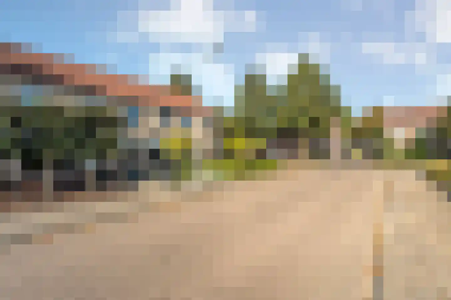 Buizerd 9 Raalte thumbnail 46