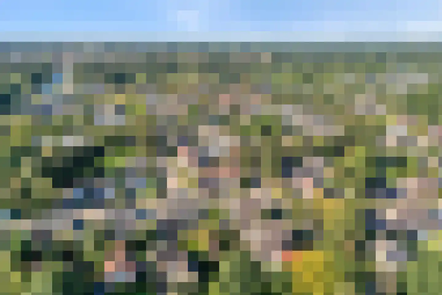 Buizerd 9 Raalte thumbnail 47