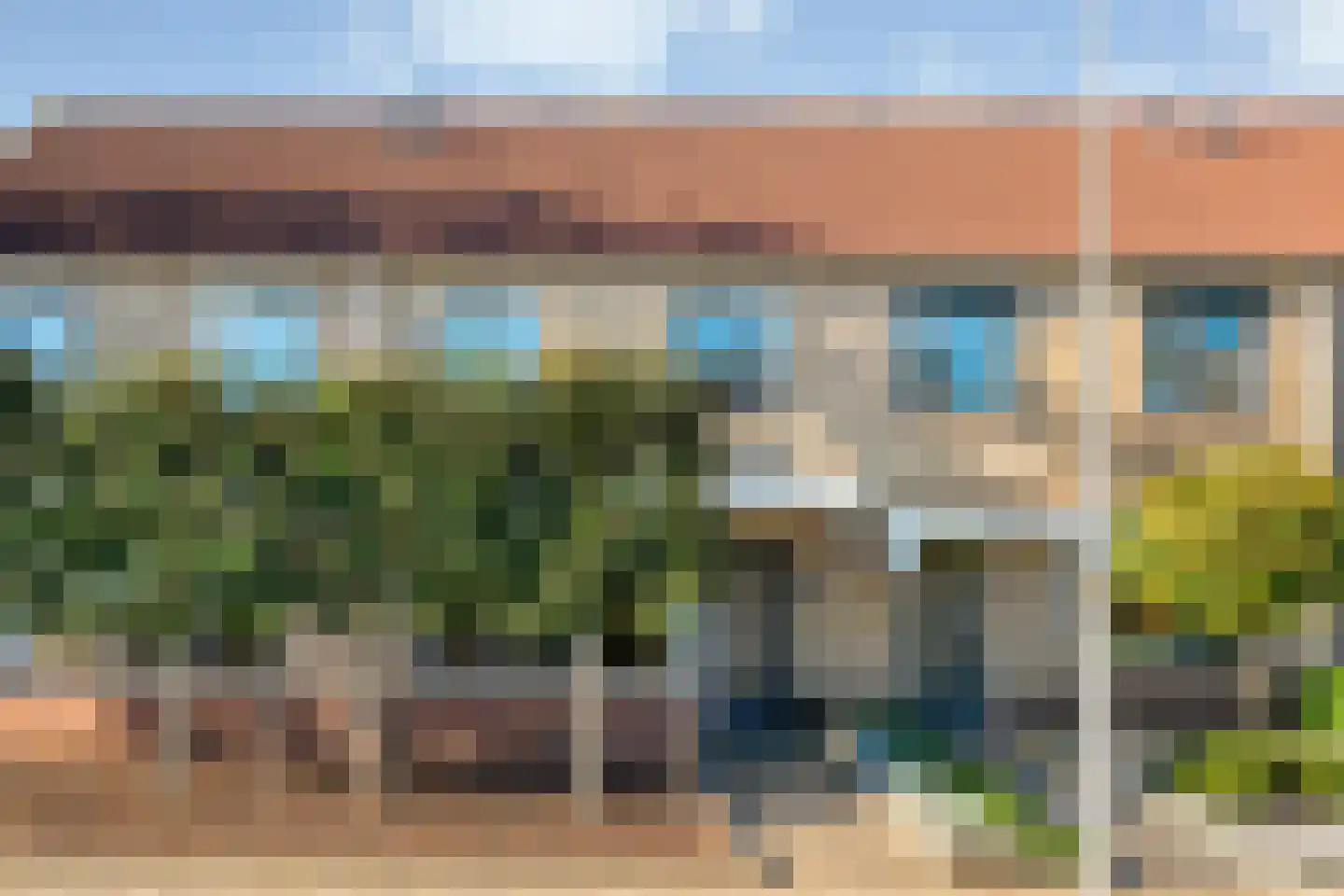 Buizerd 9 Raalte thumbnail 5