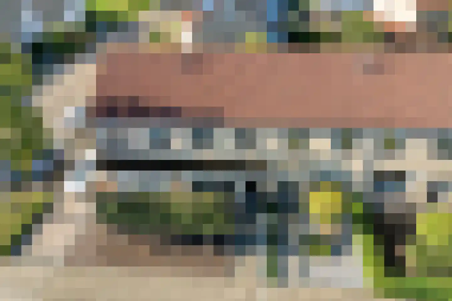 Buizerd 9 Raalte thumbnail 6