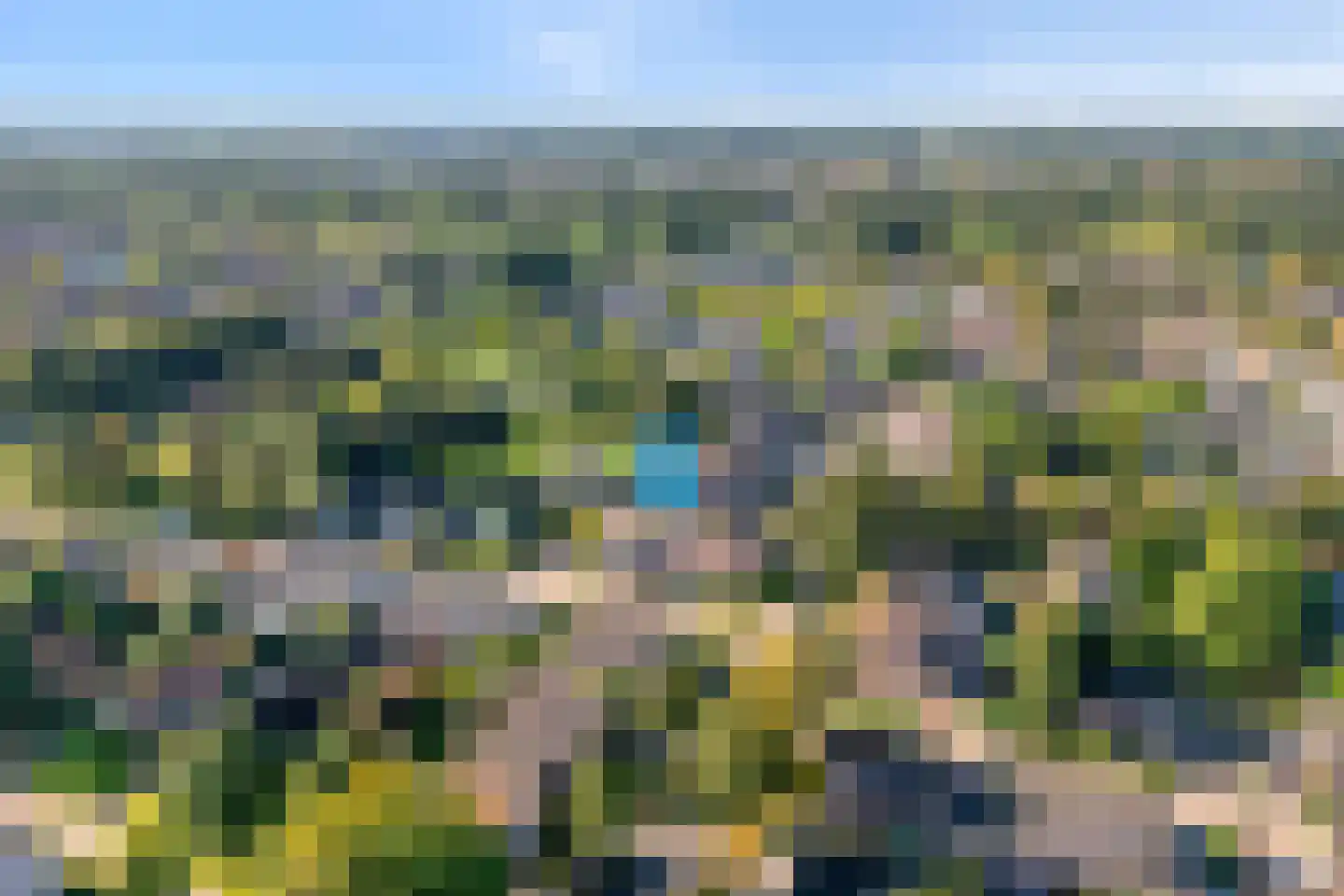 Buizerd 9 Raalte thumbnail 7