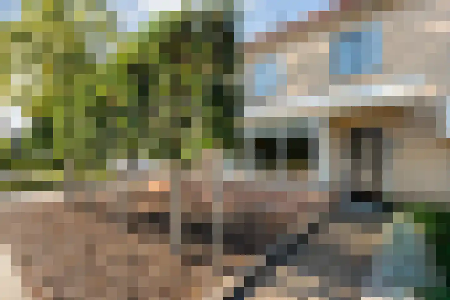 Buizerd 9 Raalte thumbnail 8